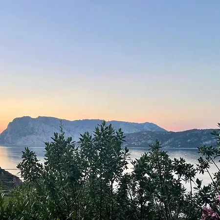 Punta Est Trilocale Soppalco Con Terrazza Vista Mare *