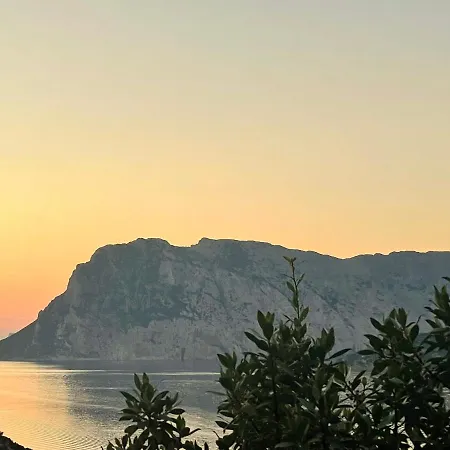 Apartment Punta Est Trilocale Soppalco Con Terrazza Vista Mare Capo Coda Cavallo